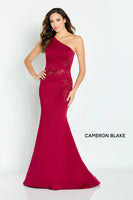 CAMERON BLAKE SPECIAL OCCASION GOWN CB142